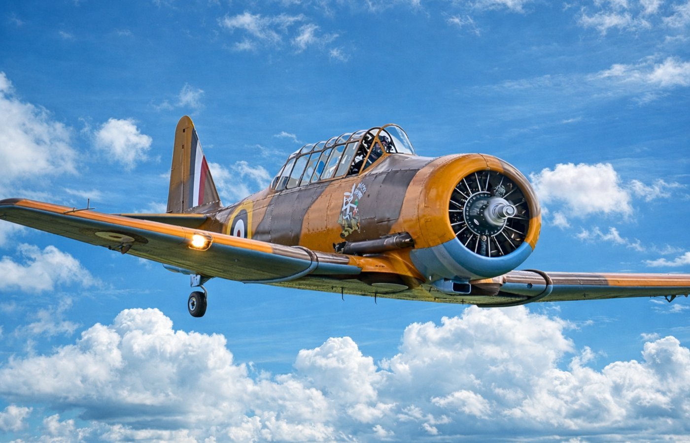 WWII Harvard Warbird in flight